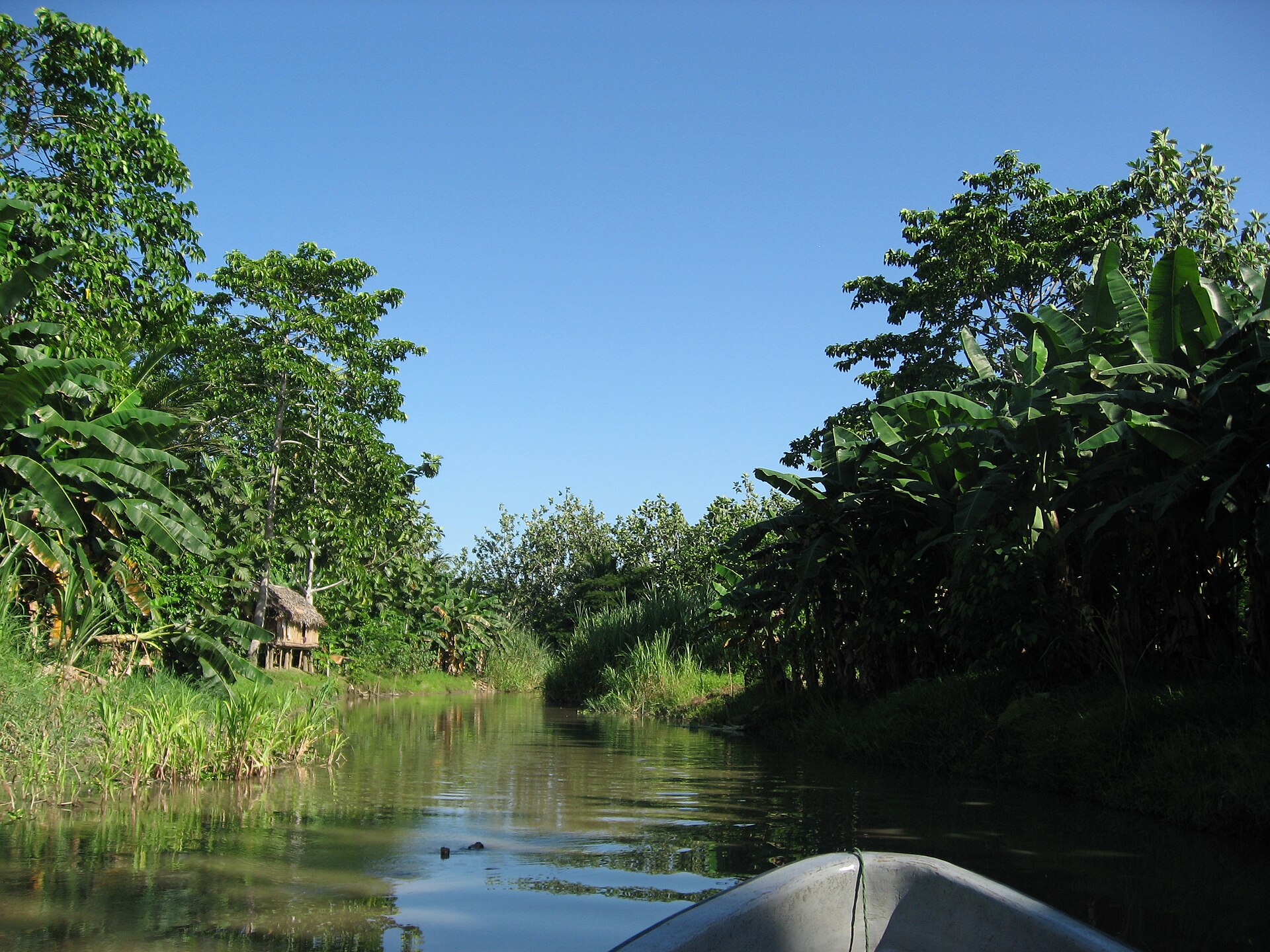Boot auf dem Sepik im dichten Regenwald von Papua-Neuguinea