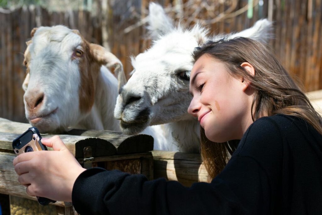 A young woman takes a selfie with a goat and llama outdoors on a sunny day.
